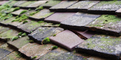 Aston Rowant roof repair costs
